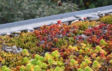 the cost of Gracemount green roof installation