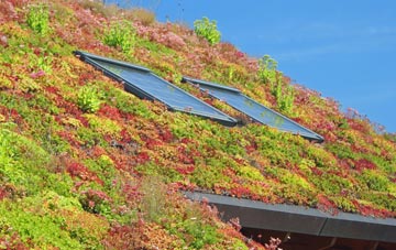 Gracemount living roof systems