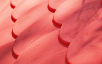 Gracemount plastic roof costs