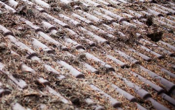 Gracemount roof cleaning companies