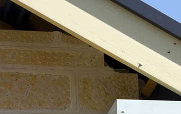 soffit repair Gracemount