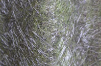 Gracemount fibreglass roof work