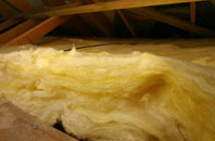 Gracemount pitch roof insulation